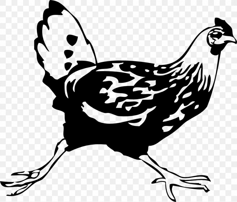 Leghorn Chicken Cochin Chicken Silkie Rooster Clip Art, PNG, 1000x855px ...