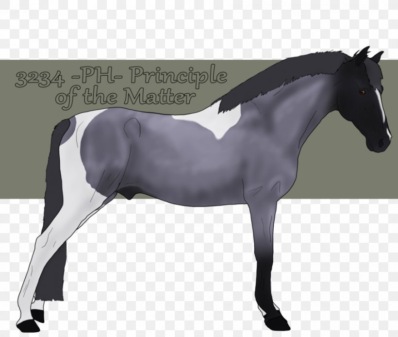 Mane Rein Stallion Mustang Horse Harnesses, PNG, 900x762px, Mane, Bridle, Colt, English Riding, Equestrian Download Free