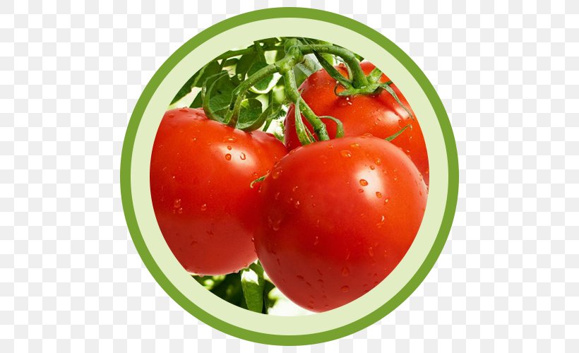 Tomato Vegetable Cultivar Crop Yield Auglis, PNG, 500x500px, Tomato, Auglis, Berry, Bush Tomato, Crop Yield Download Free