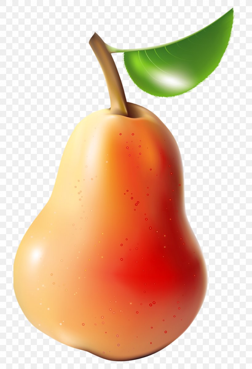 Asian Pear Clip Art, PNG, 1053x1539px, Pear, Apple, Bell Peppers And Chili Peppers, Diet Food, Food Download Free