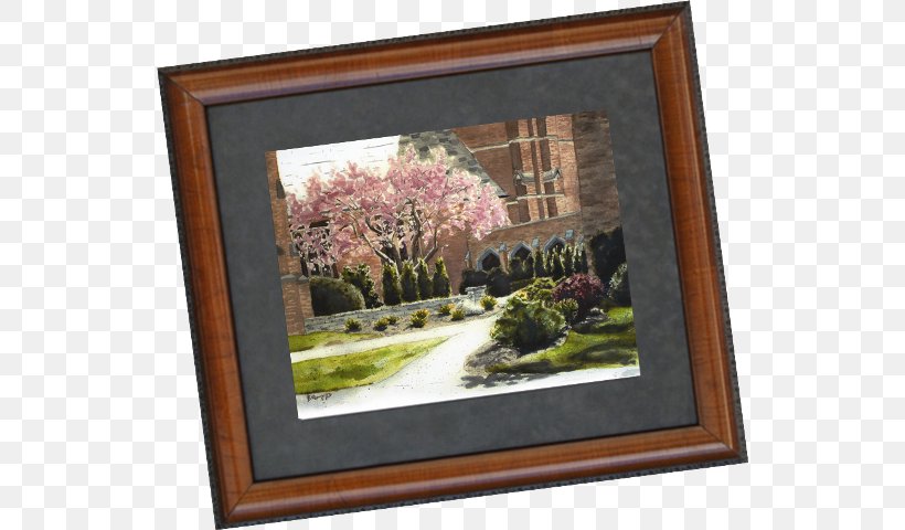 Still Life Picture Frames Rectangle Flower, PNG, 536x480px, Still Life, Flower, Painting, Picture Frame, Picture Frames Download Free