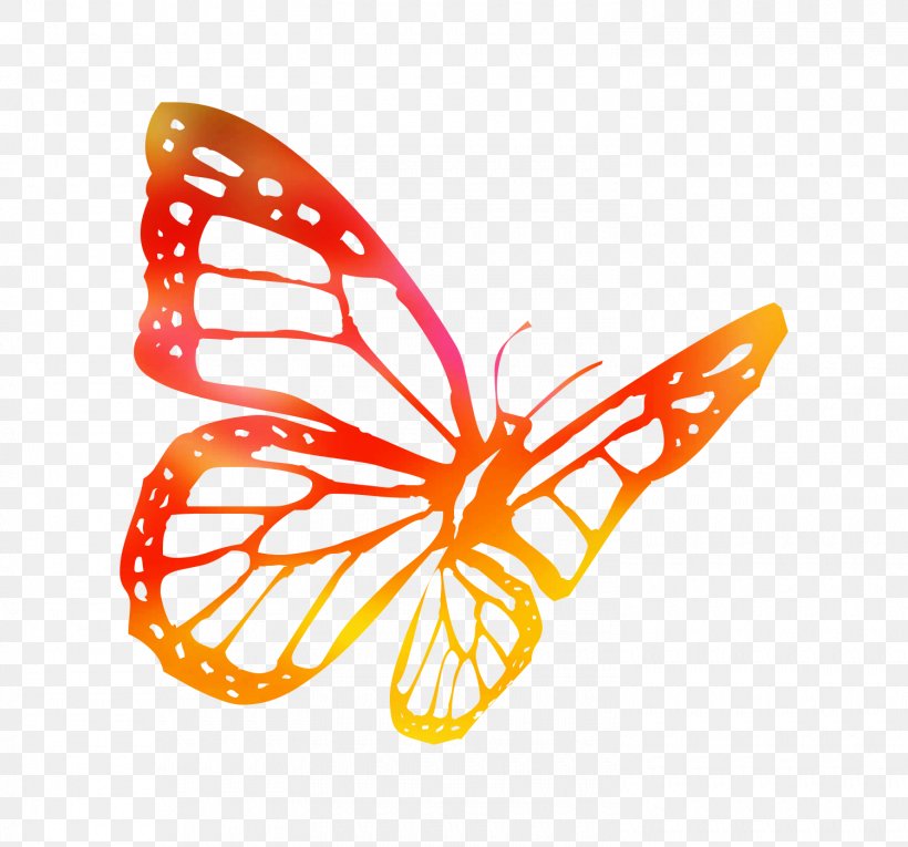 Butterfly Line Drawings Coloring Book Image, PNG, 1500x1400px, Butterfly, Brushfooted Butterfly, Coloring Book, Doodle, Drawing Download Free