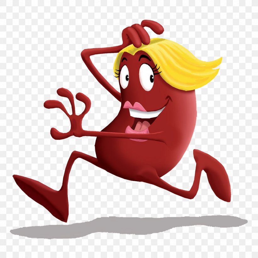 Clip Art Illustration Kidney Image, PNG, 1146x1146px, Kidney, Art, Cartoon,  Drawing, Fictional Character Download Free