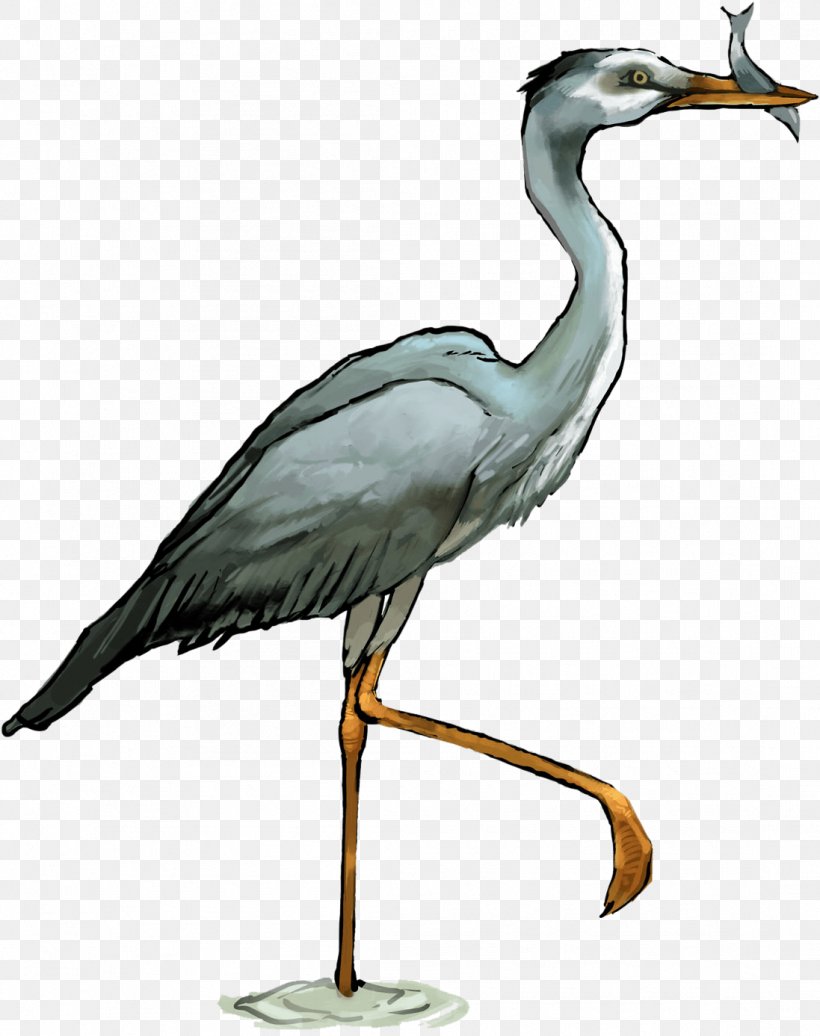 Crane Bird, PNG, 1097x1387px, Great Blue Heron, Beak, Bird, Ciconiiformes, Crane Download Free