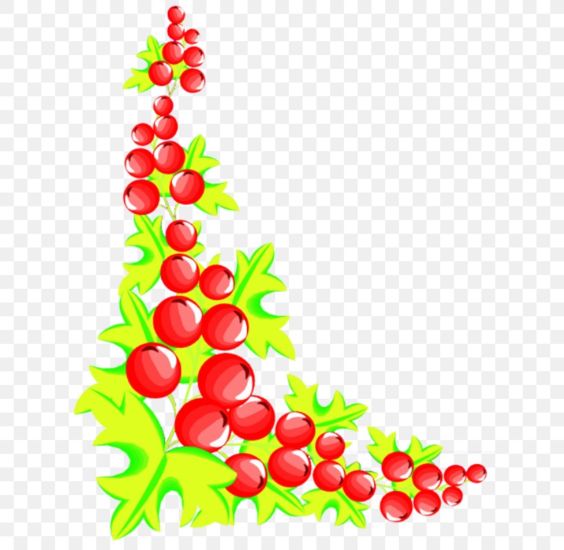 Fruit Clip Art, PNG, 624x800px, Fruit, Aquifoliaceae, Auglis, Branch, Christmas Download Free
