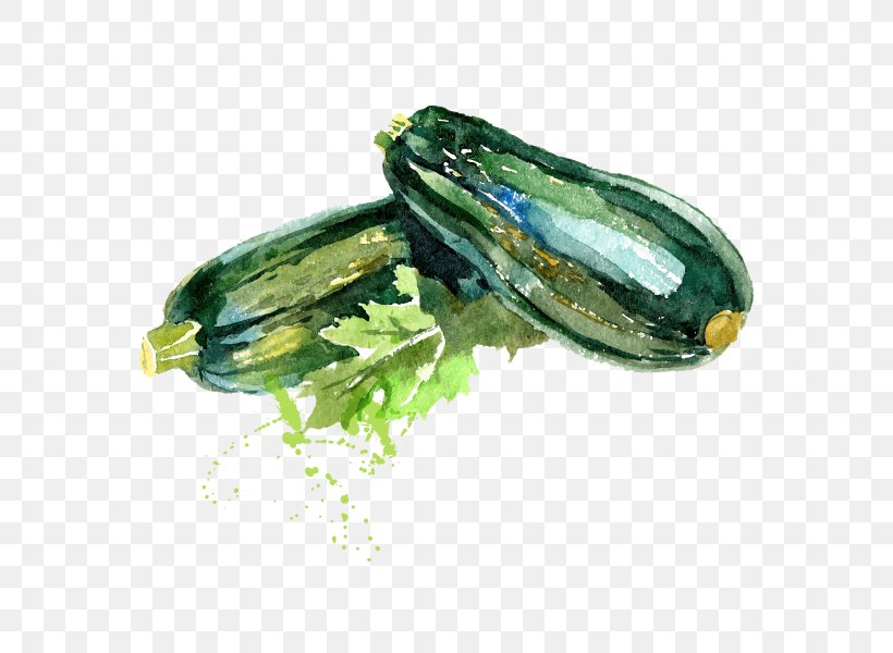 Zucchini Illustration Recipe Vegetable Food, PNG, 600x600px, Zucchini, Art, Cucumber, Cucumber Gourd And Melon Family, Cucumis Download Free