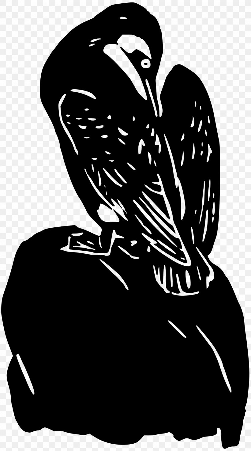 Bird Beak Owl Clip Art, PNG, 1338x2400px, Bird, Animal, Art, Beak, Bird Of Prey Download Free