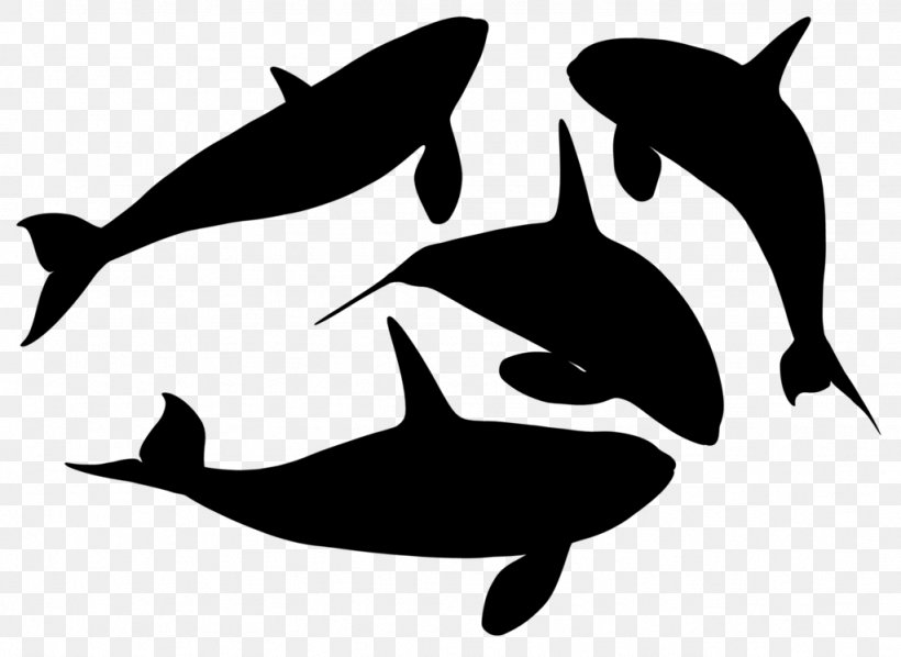 Dolphin Porpoise Killer Whale Clip Art Whales, PNG, 1024x747px, Dolphin, Blackandwhite, Bottlenose Dolphin, Cetacea, Common Dolphins Download Free