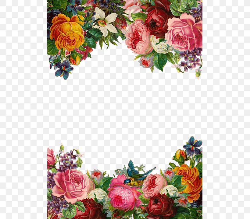 Flower Pixabay Clip Art, PNG, 509x720px, Border Flowers, Artificial Flower, Borders And Frames, Cut Flowers, Flora Download Free