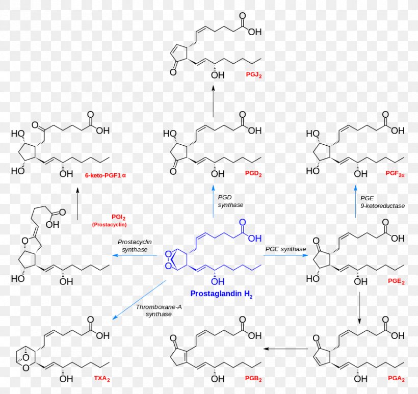 Prostanoid Prostaglandin H2 Chemical Synthesis Prostacyclin, PNG, 880x830px, Prostanoid, Acetaminophen, Arachidonic Acid, Area, Auto Part Download Free