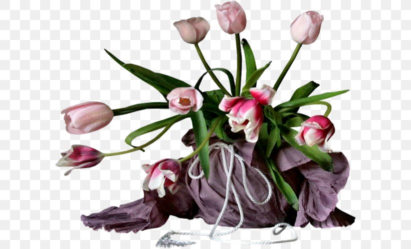 Tulip Flower Mi Talismán, PNG, 600x498px, Tulip, Birthday, Blog, Blume, Cut Flowers Download Free