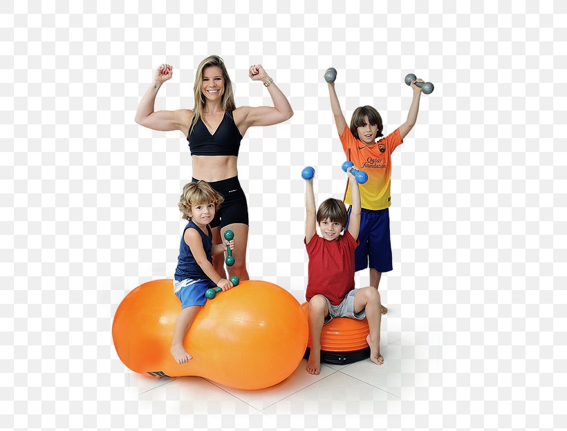 Exercise Balls Pilates Medicine Balls Physical Fitness, PNG, 533x624px, Exercise Balls, Arm, Balance, Ball, Body Download Free