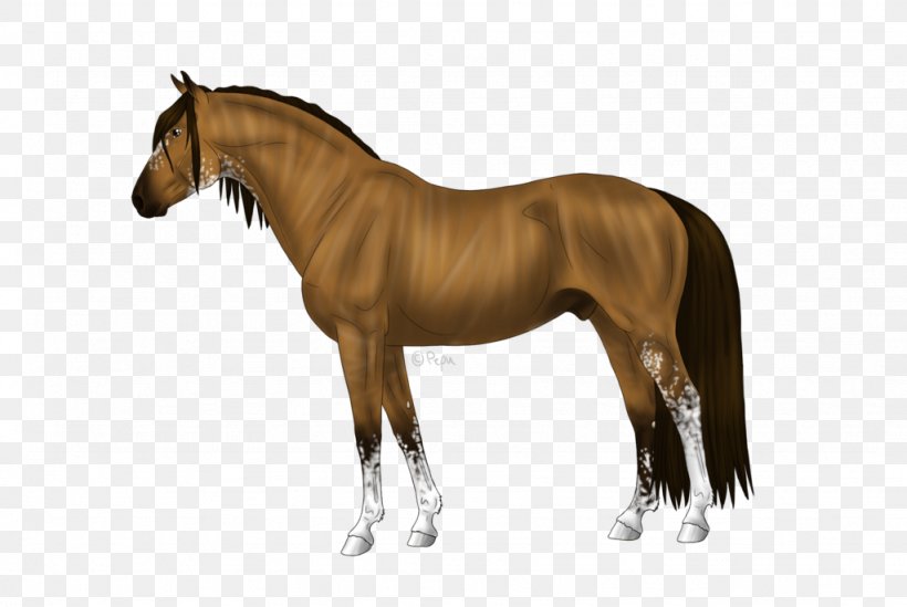 Mane Mustang Stallion Andalusian Horse American Miniature Horse, PNG, 1024x686px, Mane, American Miniature Horse, Andalusian Horse, Animal Figure, Appaloosa Download Free