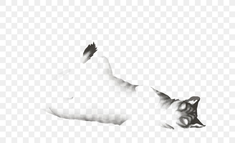 Whiskers Cat Dog Fur Paw, PNG, 640x500px, Whiskers, Black, Black And White, Canidae, Carnivoran Download Free