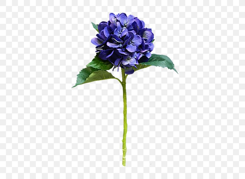 Hydrangea Cut Flowers Artificial Flower Plant Stem, PNG, 800x600px, Hydrangea, Artificial Flower, Blue, Cornales, Cut Flowers Download Free