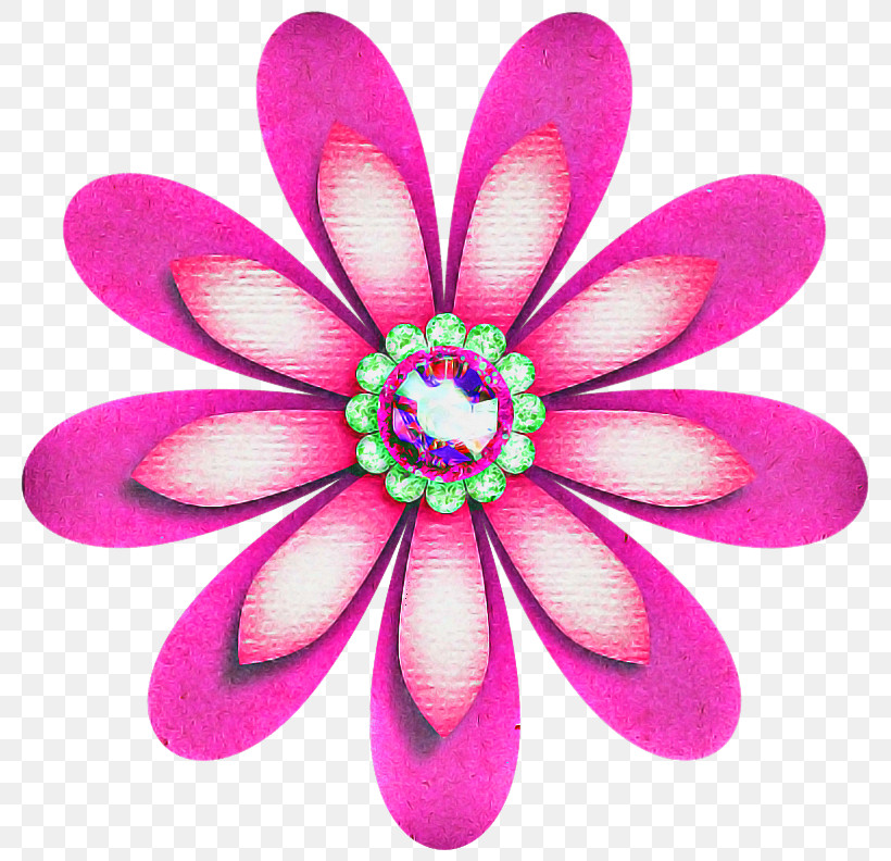 Petal Pink Violet Magenta Flower, PNG, 800x792px, Petal, Flower, Magenta, Pink, Plant Download Free