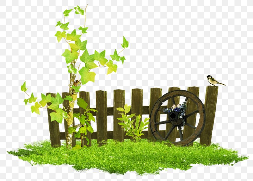Clip Art, PNG, 800x587px, Fence, Animation, Energy, Flora, Flower Download Free