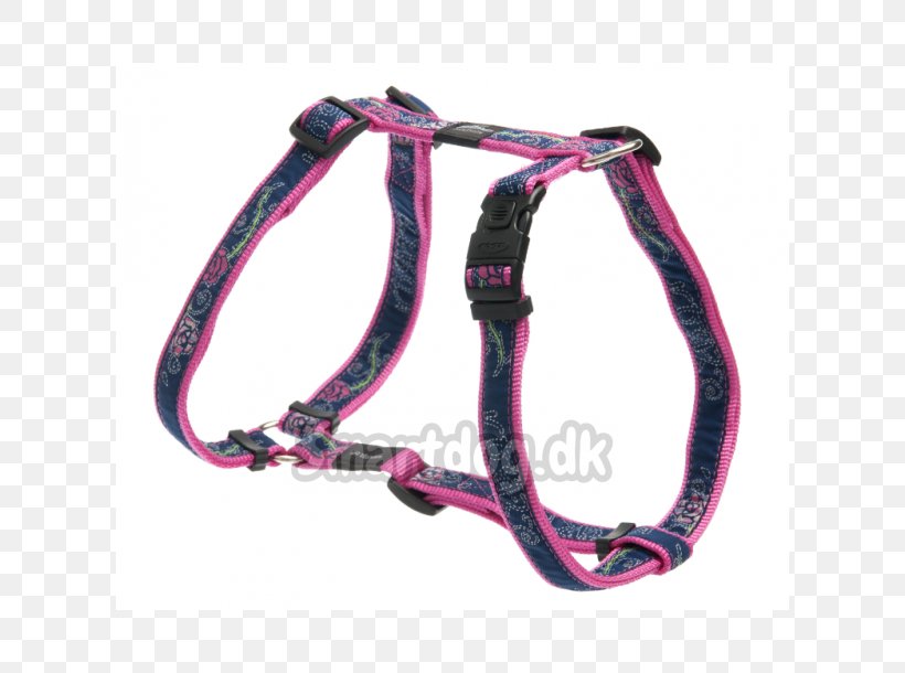 Leash Dog Collar Dog Collar Nylon, PNG, 610x610px, Leash, Aquarium, Braces, Coldwater Fish, Collar Download Free