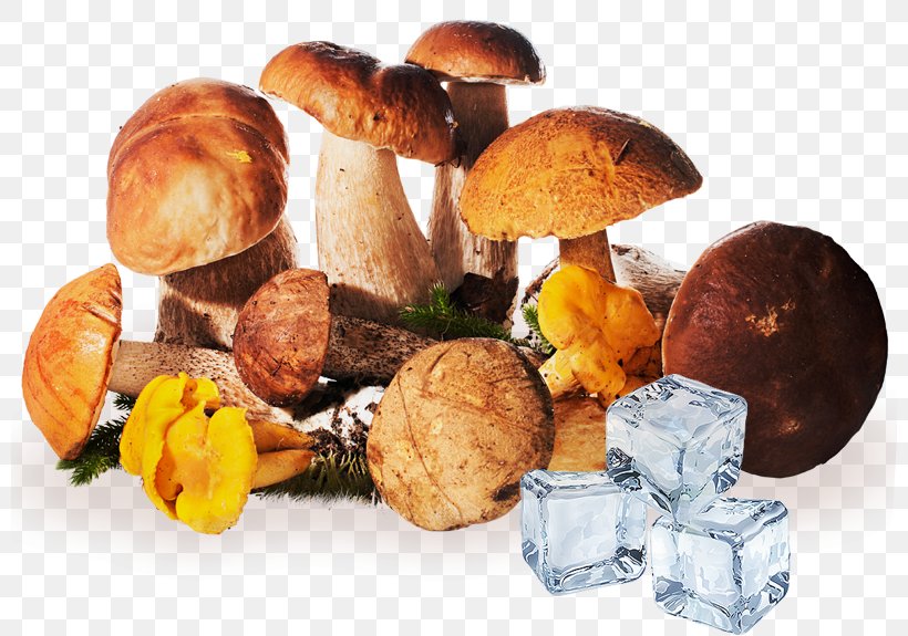 Edible Mushroom Fungus Brown Cap Boletus Aspen Mushroom, PNG, 800x575px, Edible Mushroom, Aspen Mushroom, Bay Bolete, Boletus Edulis, Brown Cap Boletus Download Free