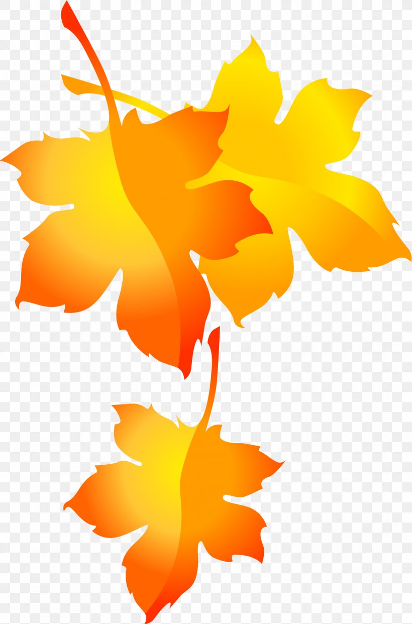 Maple Leaf Clip Art, PNG, 1501x2274px, Maple Leaf, Branch, Deciduous, Designer, Flower Download Free