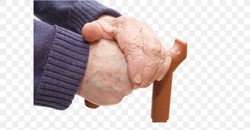 Walking Stick Assistive Cane Hand, PNG, 600x428px, Walking Stick, Abdomen, Assistive Cane, Cane, Finger Download Free