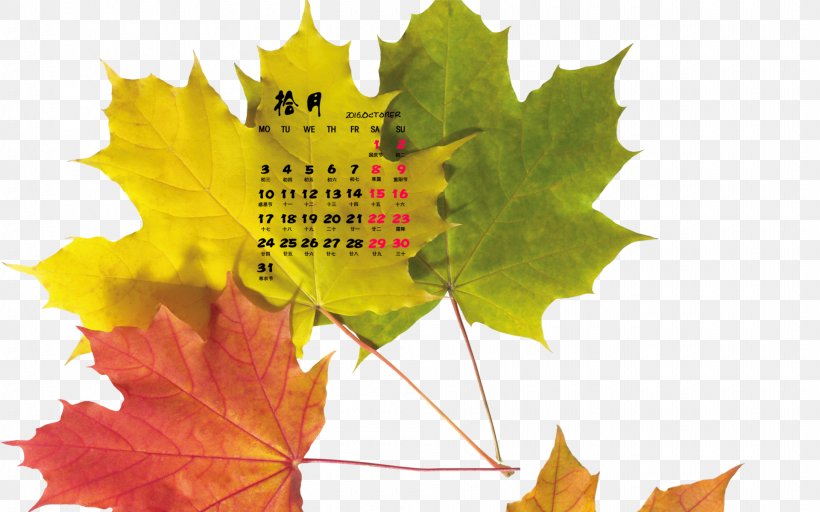 Autumn Maple Leaf Desktop Wallpaper, PNG, 1920x1200px, Autumn, Autumn Leaf Color, Image File Formats, Leaf, Maple Leaf Download Free