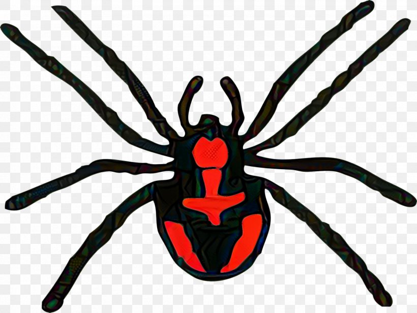 Clip Art Openclipart Free Content Vector Graphics Spider, PNG, 1919x1443px, Spider, Arachnid, Arthropod, Black Widow, Document Download Free