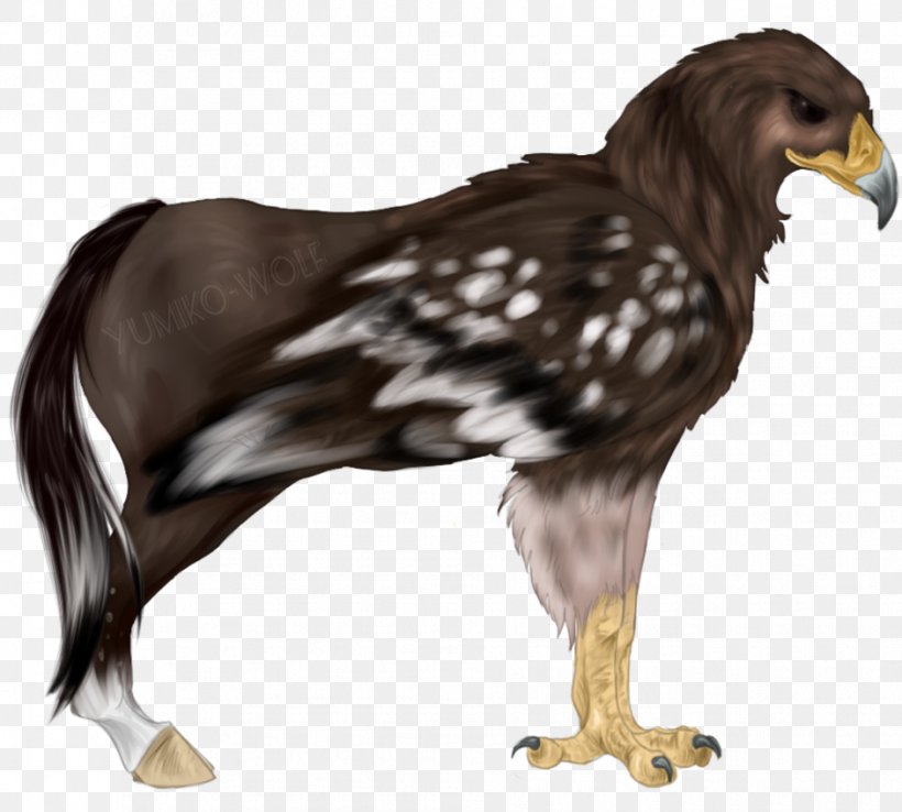 Eagle Hippogriff Horse Legendary Creature Griffin, PNG, 942x848px, Eagle, Accipitriformes, Art, Artist, Beak Download Free