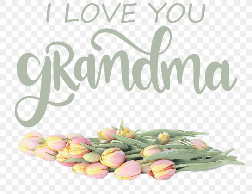 Grandmothers Day Grandma, PNG, 3000x2304px, Grandmothers Day, Advocare, Cut Flowers, Flower, Grandma Download Free
