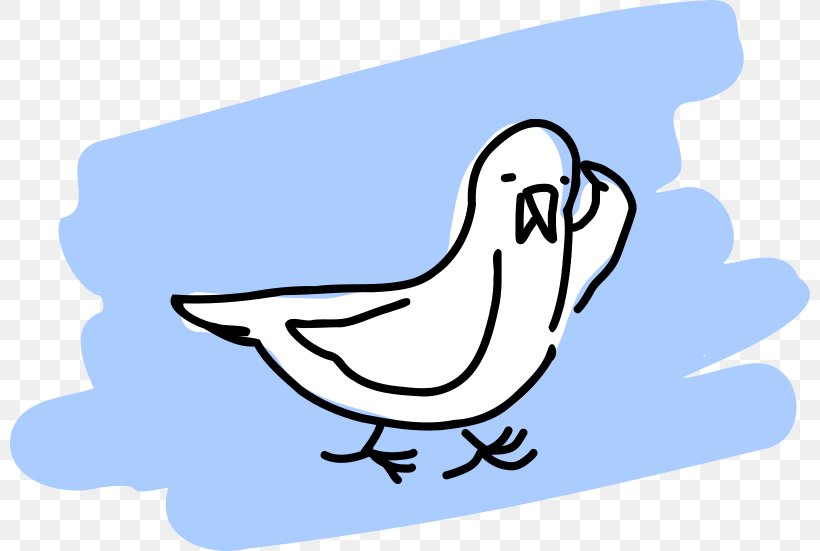 Gulls Bird Drawing Clip Art, PNG, 800x551px, Gulls, Animal, Area, Art, Artwork Download Free