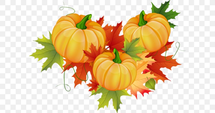 Pumpkin Cucurbita Pepo Thanksgiving Clip Art, PNG, 600x432px, Pumpkin, Autumn, Calabaza, Cucurbita, Cucurbita Pepo Download Free