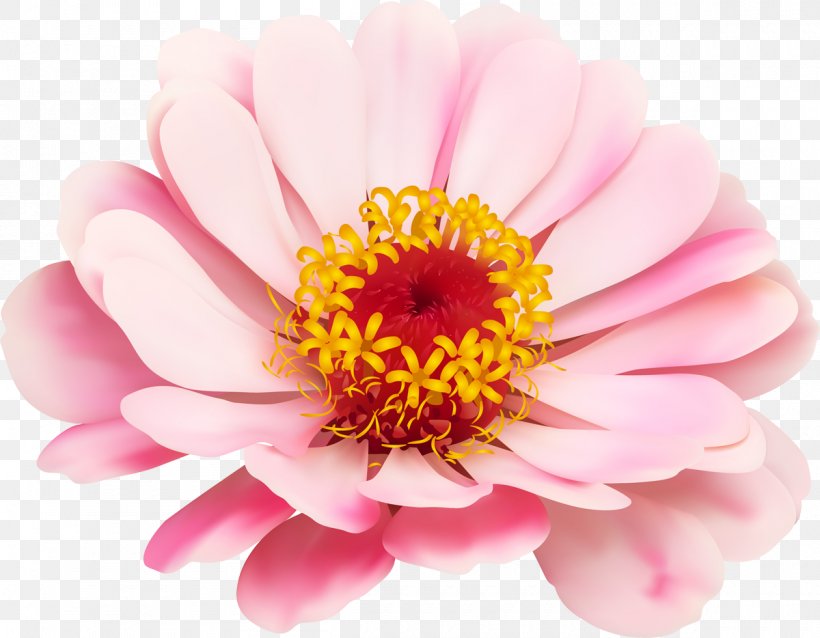 Royalty-free Photography, PNG, 1200x934px, Royaltyfree, Annual Plant, Art, Blossom, Chrysanths Download Free