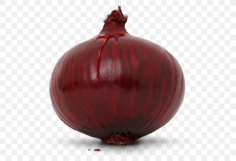 Shallot Vegetable Scallion Bulb Garlic, PNG, 600x560px, Shallot, Allium, Bulb, Food, Fruit Download Free