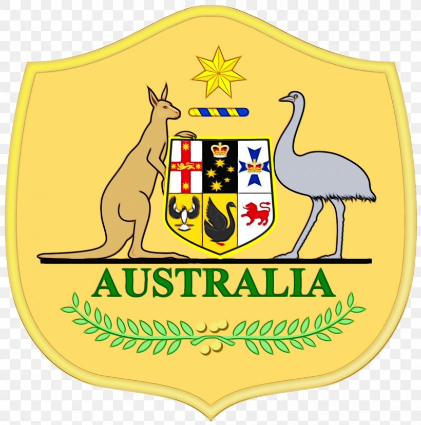 Soccer Cartoon, PNG, 1200x1212px, Australia National Football Team, Australia, Badge, Cambodia, Crest Download Free