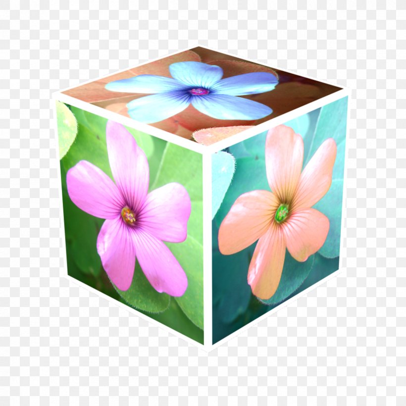 Three-dimensional Space Cube Quizlet Animaatio, PNG, 1200x1200px, Threedimensional Space, Animaatio, Computing, Cube, Flower Download Free