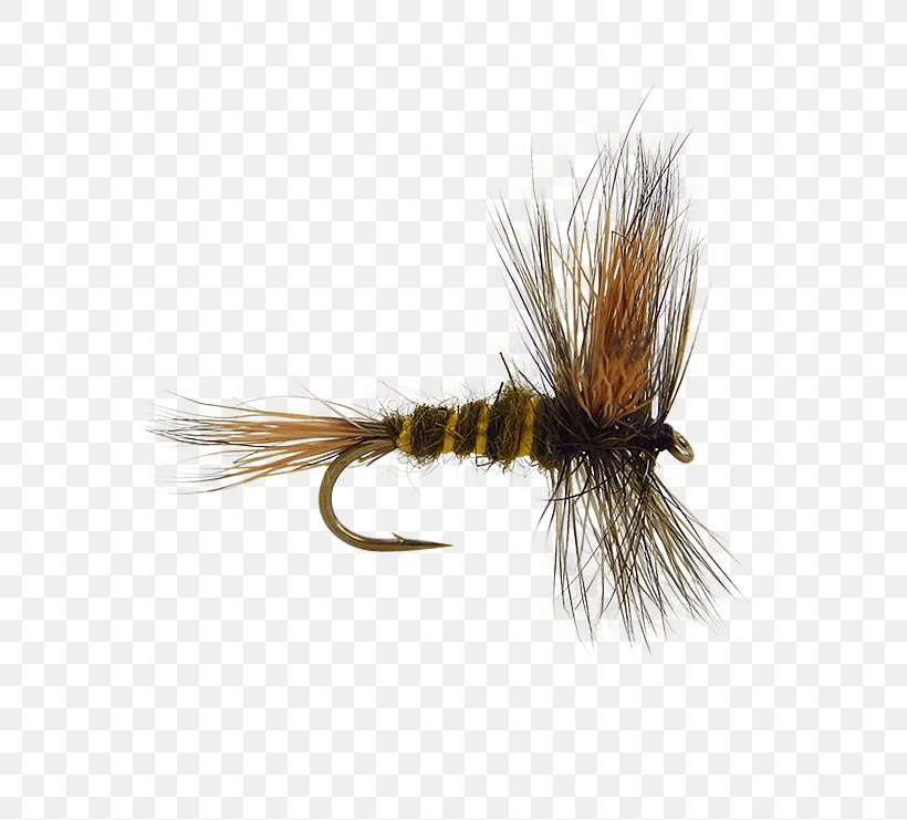 Artificial Fly Fly Fishing Royal Coachman Emergers, PNG, 555x741px, Artificial Fly, Fishing, Fishing Bait, Fly, Fly Fishing Download Free