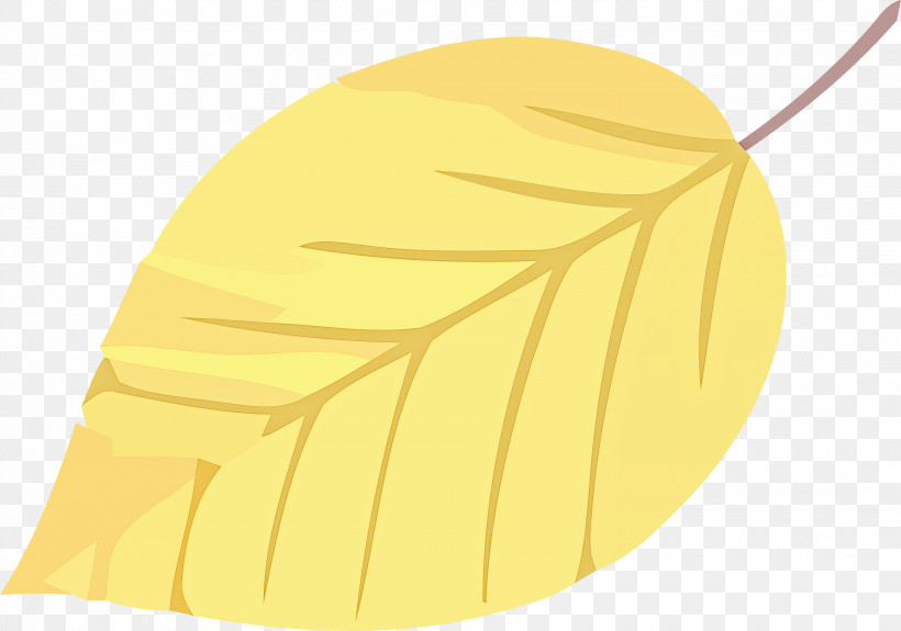 Autumn Leaf Yellow Leaf Leaf, PNG, 3287x2306px, Autumn Leaf, Leaf, Yellow, Yellow Leaf Download Free