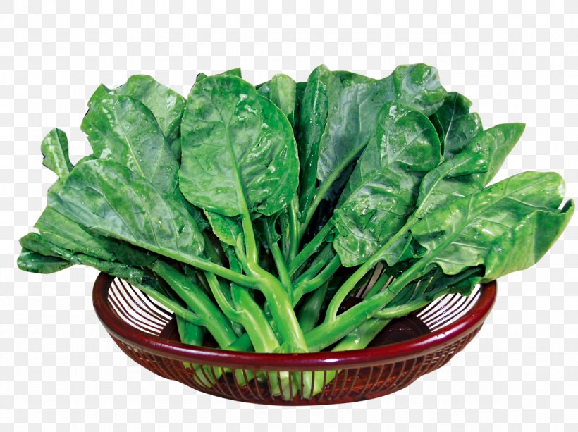 Chinese Broccoli Kale Spring Greens Food Romaine Lettuce, PNG, 1181x883px, Chinese Broccoli, Brassica Juncea, Broccoli, Chard, Choy Sum Download Free