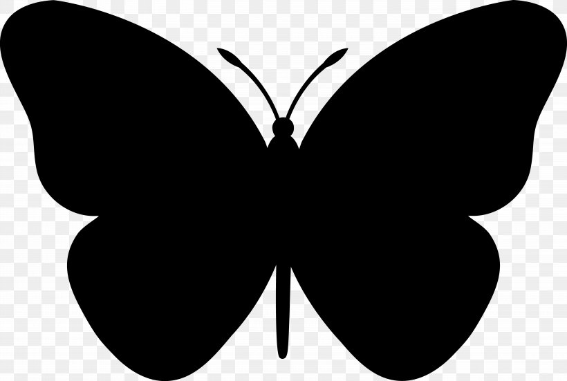 Clip Art Butterfly Silhouette Image, PNG, 5920x3982px, Butterfly, Art, Blackandwhite, Cartoon, Drawing Download Free