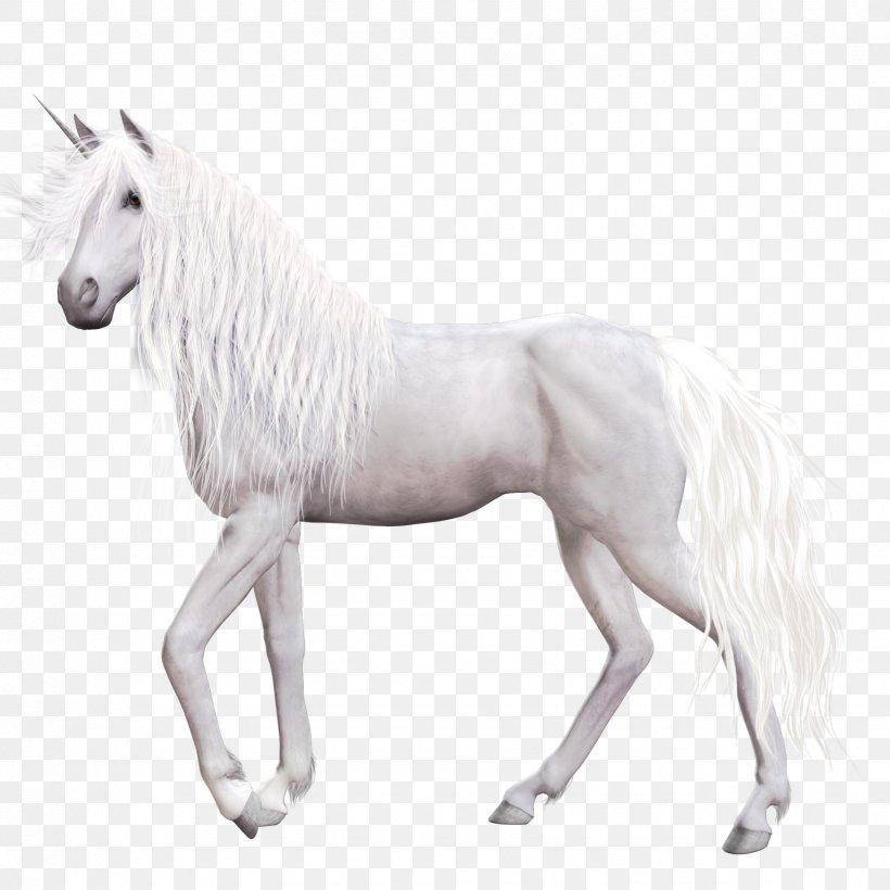 Horse Unicorn Clip Art, PNG, 1750x1750px, Akhal Teke, Animal, Black And White, Computer Software, Horse Download Free