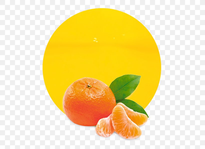 Learning Fruits Mandarin Orange Juice Education, PNG, 536x595px, Learning Fruits, Apple, Bitter Orange, Citric Acid, Citrus Download Free