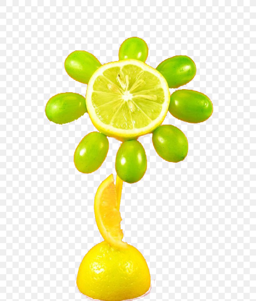 Lime Lemon Orange, PNG, 719x966px, Lime, Citric Acid, Citron, Citrus, Drawing Download Free
