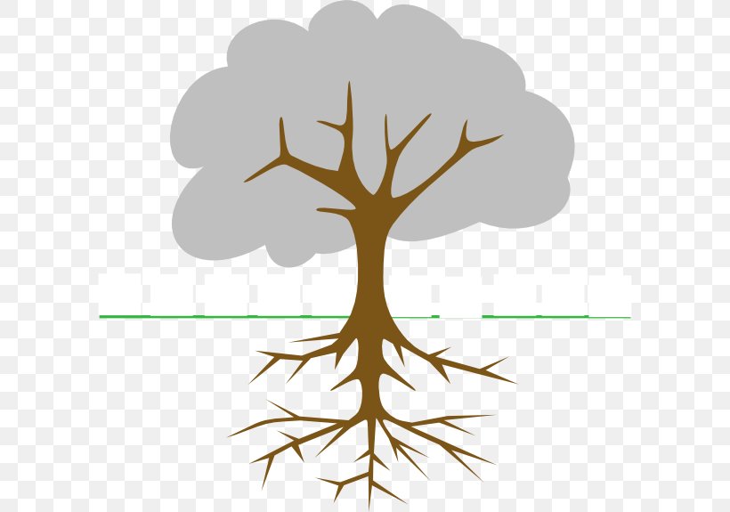 The Great Kapok Tree Branch Clip Art, PNG, 600x575px, Great Kapok Tree, Blog, Branch, Christmas Tree, Family Tree Download Free