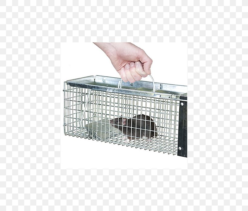 Trapping Rat Mousetrap Cage, PNG, 698x698px, Trapping, Animal Trap, Cage, Fish Trap, Mouse Download Free