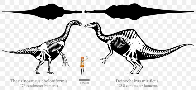 Tyrannosaurus Deinocheirus Therizinosaurus Tarbosaurus Dinosaur, PNG, 1856x856px, Tyrannosaurus, Alioramus, Beak, Bird, Black And White Download Free