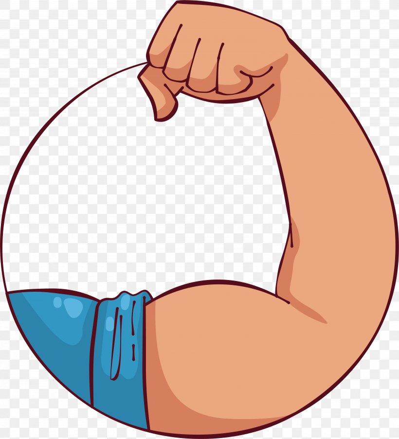 Clip Art Biceps Muscle Arm, PNG, 3180x3504px, Watercolor, Cartoon, Flower, Frame, Heart Download Free