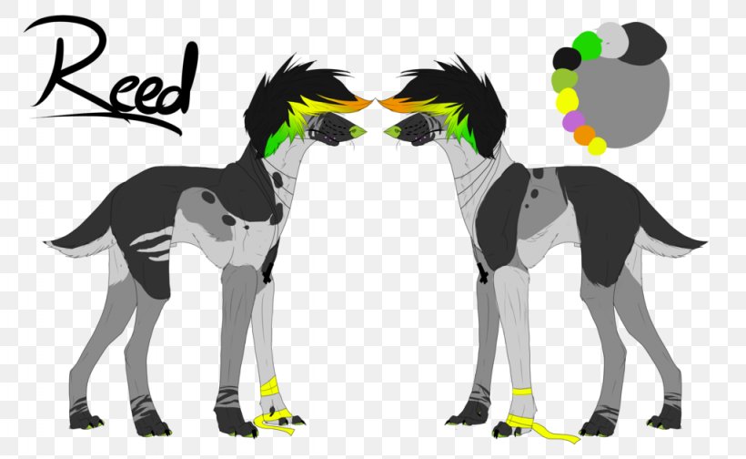 Horse Cat Dog Bird, PNG, 1024x630px, Horse, Art, Beak, Bird, Camel Download Free