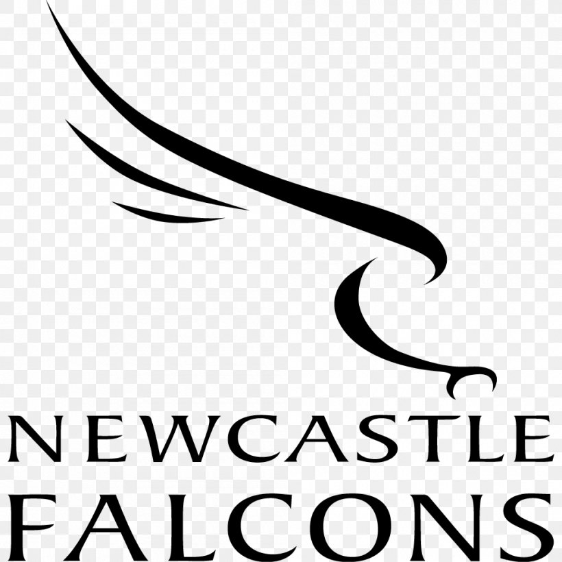 Newcastle Falcons English Premiership Sale Sharks Gloucester Rugby Newcastle Upon Tyne, PNG, 1000x1000px, Newcastle Falcons, Area, Artwork, Black, Black And White Download Free