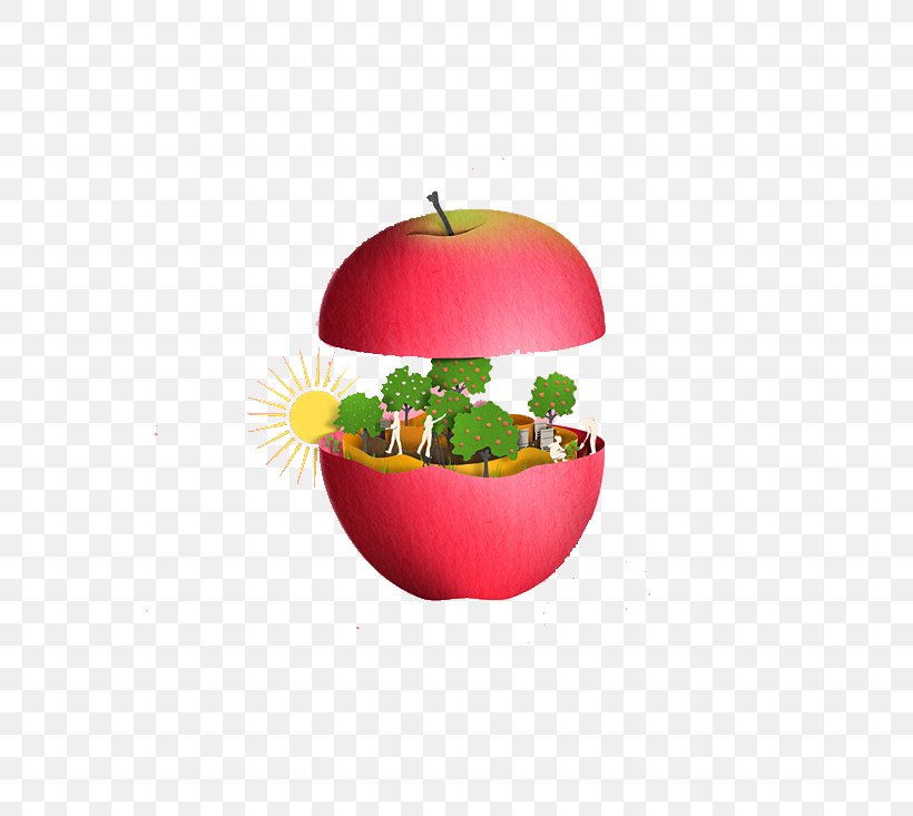 Apple Icon, PNG, 558x733px, Apple, Diet Food, Food, Forest, Fruit Download Free