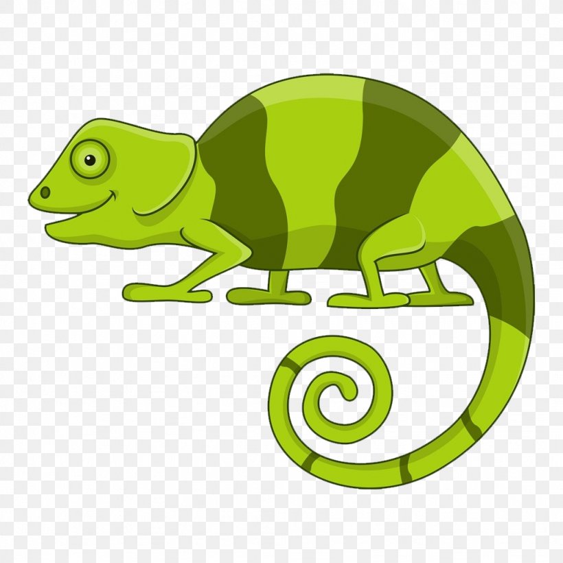 Chameleons Cartoon Stock Illustration Illustration, PNG, 1024x1024px, Chameleons, Amphibian, Cartoon, Chameleon, Depositphotos Download Free
